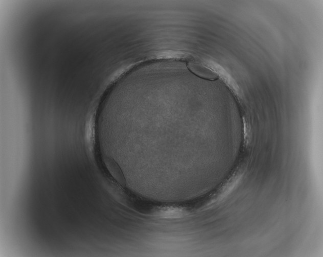 X0000101440348200807211217