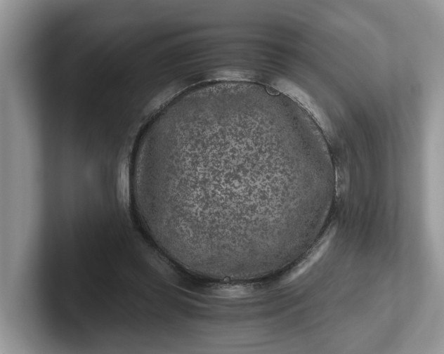 X0000101440349200807211217