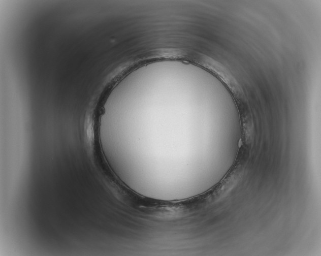 X0000101440350200807211217