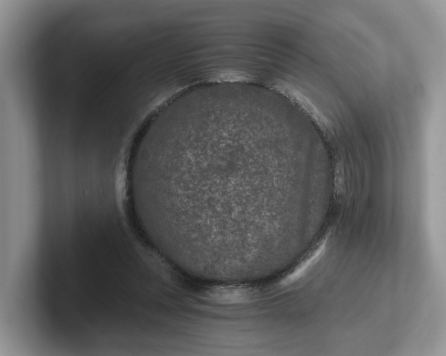 X0000101440351200807211217