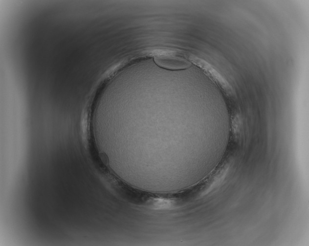 X0000101440352200807211217