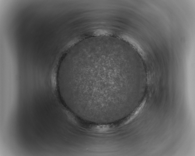 X0000101440353200807211217