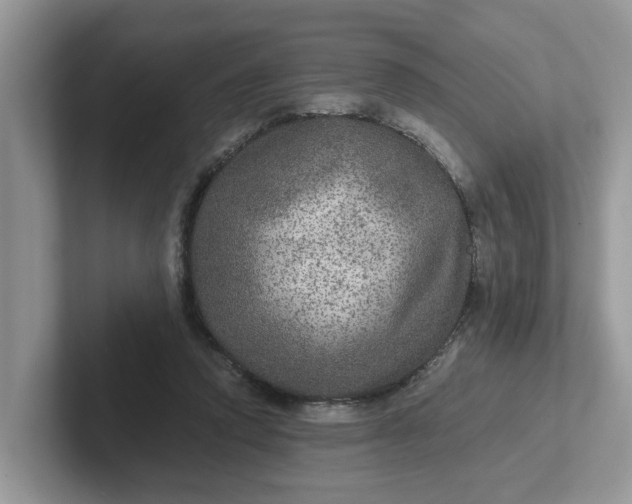 X0000101440354200807211217