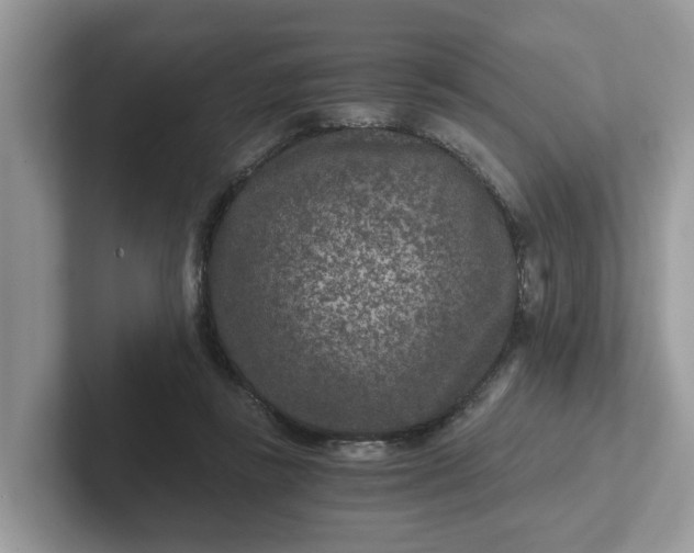 X0000101440355200807211217