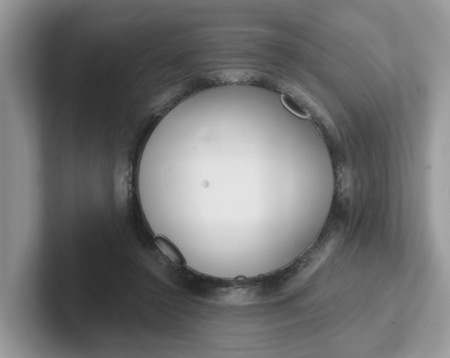 X0000101440356200807211217