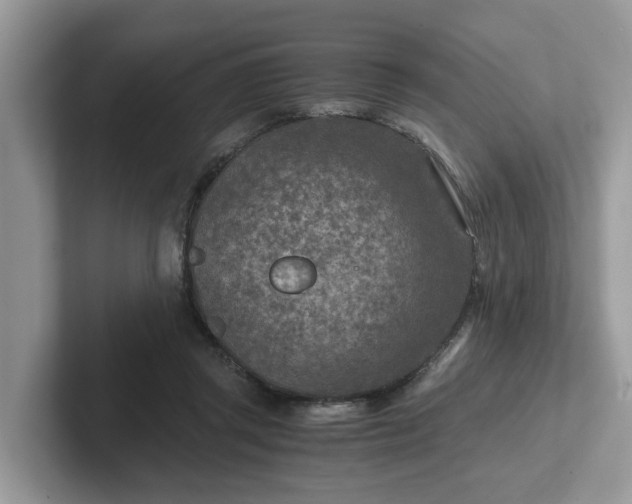 X0000101440357200807211217