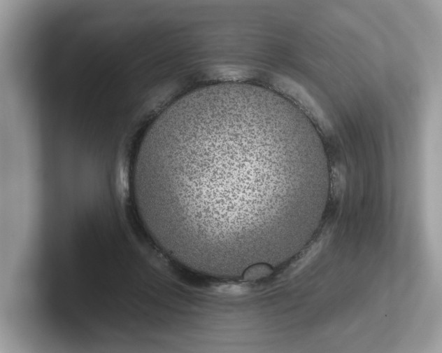 X0000101440358200807211217