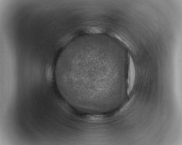 X0000101440359200807211217