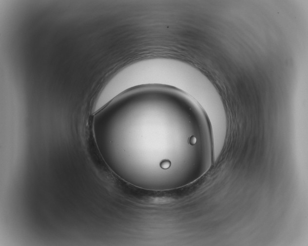 X0000101440360200807211217