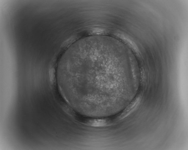 X0000101440361200807211217