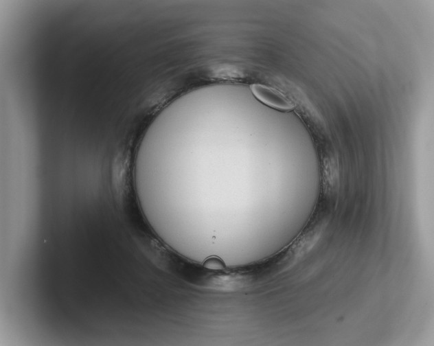 X0000101440364200807211217