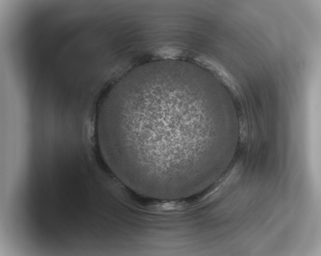 X0000101440365200807211217