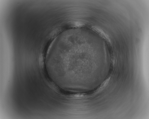 X0000101440366200807211217