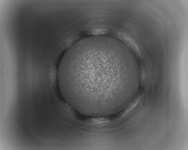 X0000101440367200807211217