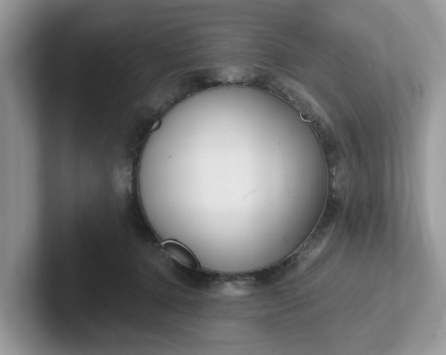 X0000101440368200807211217