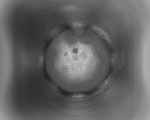 X0000101440369200807211217