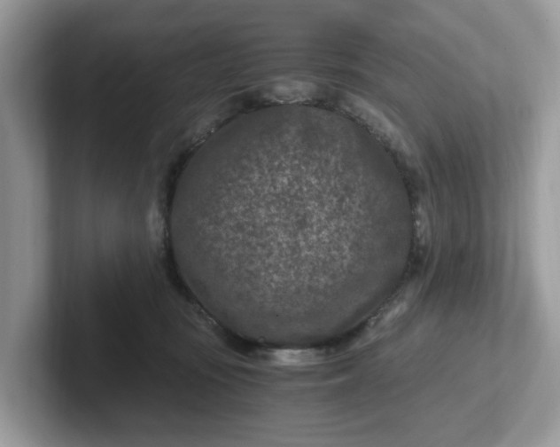 X0000101440371200807211217