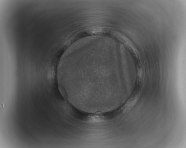 X0000101440372200807211217