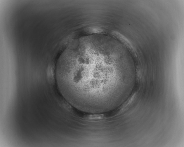 X0000101440373200807211217