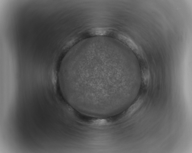 X0000101440374200807211217