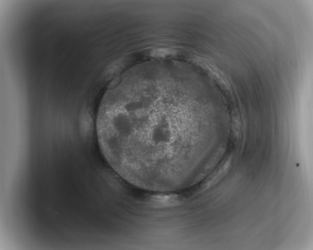 X0000101440375200807211217