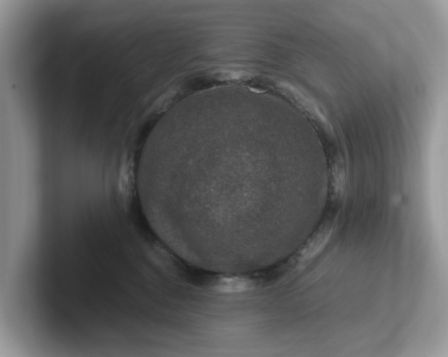 X0000101440376200807211217