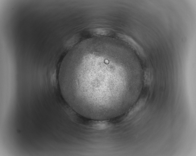 X0000101440377200807211217