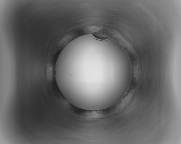 X0000101440378200807211217