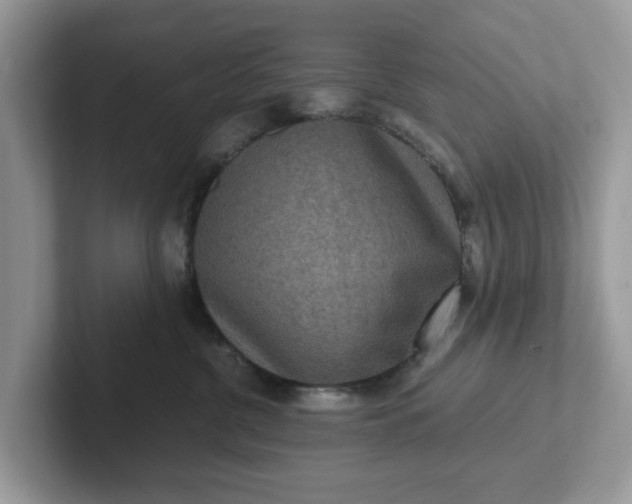 X0000101440380200807211217