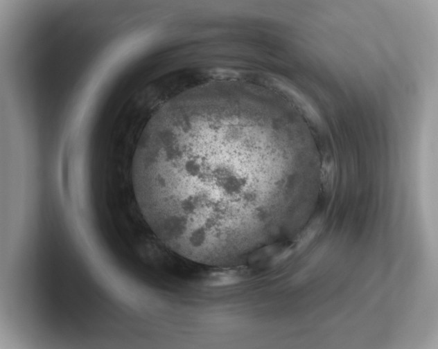 X0000101440381200807211217