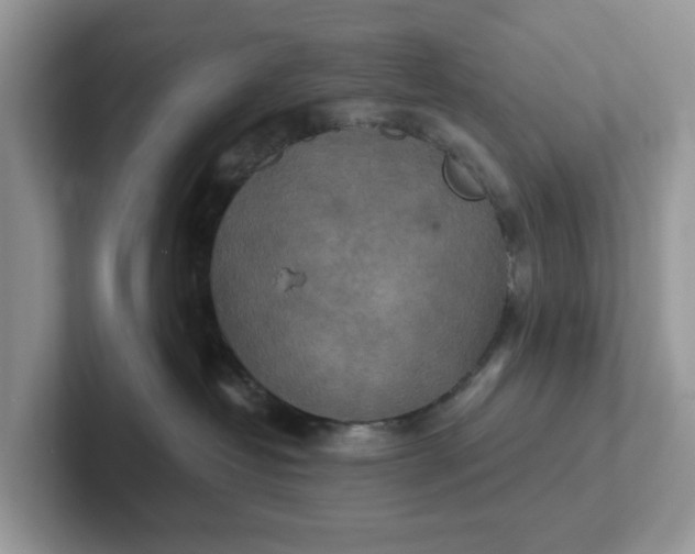 X0000101440382200807211217