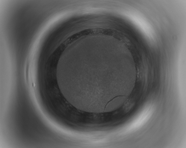 X0000101440383200807211217