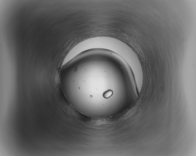 X0000101440384200807211218