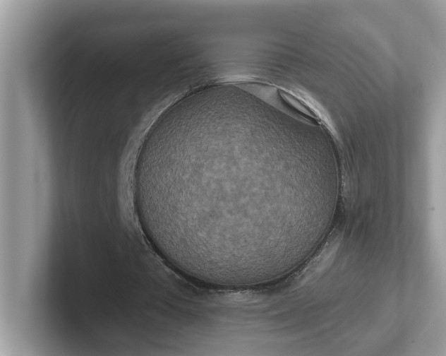 X0000101440385200807211217