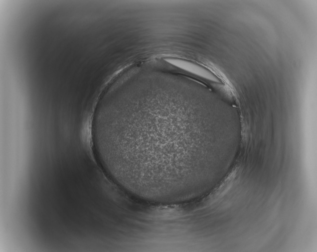 X0000101440386200807211217