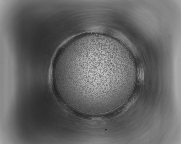 X0000101440388200807211217