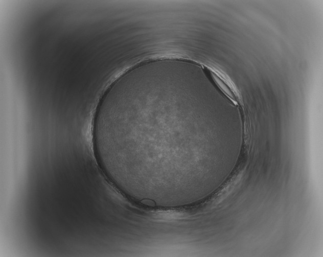 X0000101440389200807211217