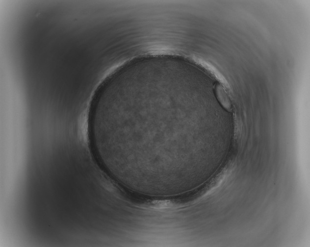 X0000101440391200807211217