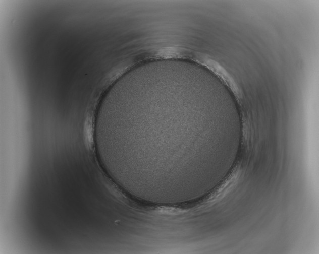 X0000101440393200807211217