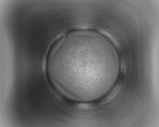 X0000101440394200807211217