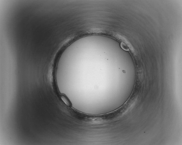 X0000101440395200807211217