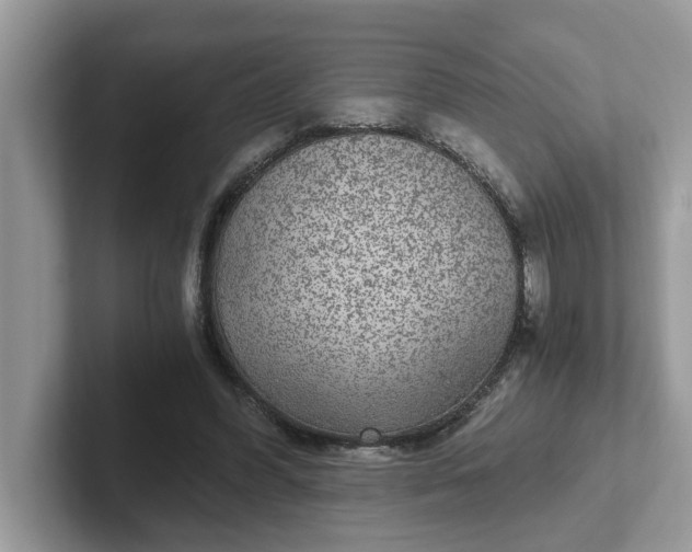 X0000101440396200807211217