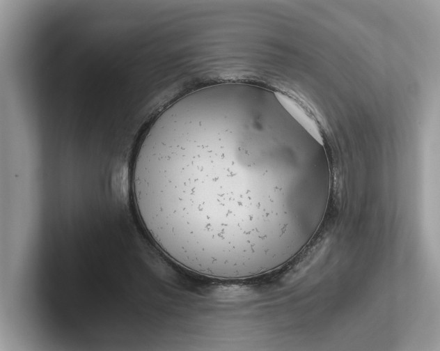 X0000101440397200807211217