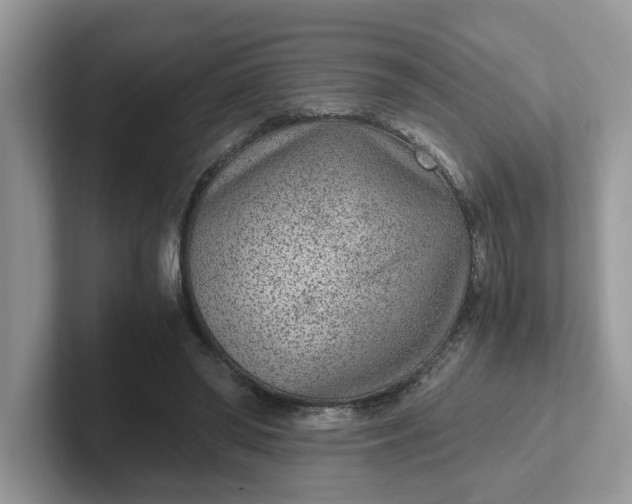 X0000101440398200807211217