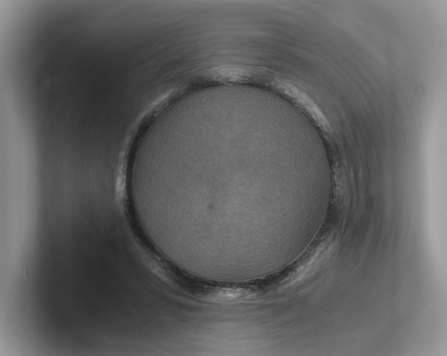 X0000101440399200807211217