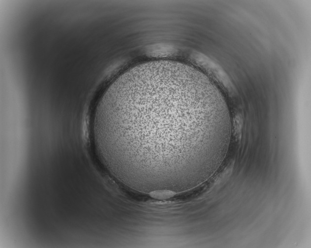 X0000101440400200807211217