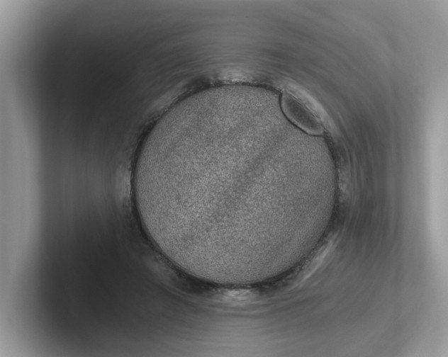 X0000101440401200807211217