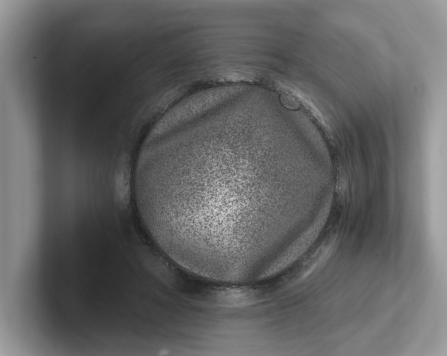 X0000101440402200807211217