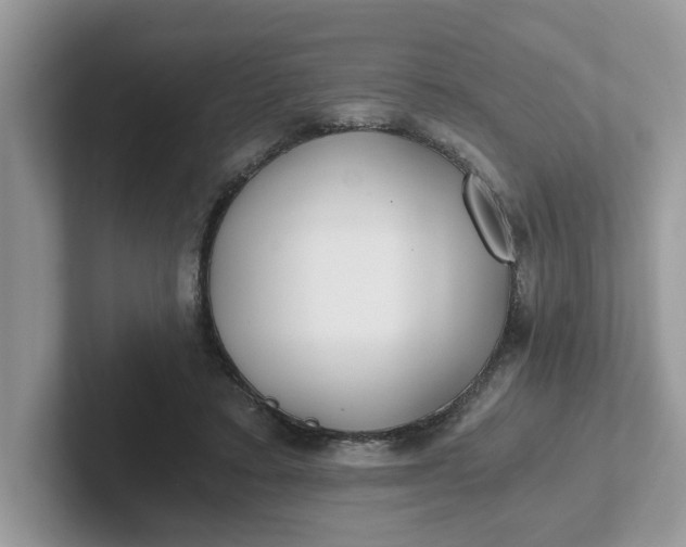 X0000101440403200807211217