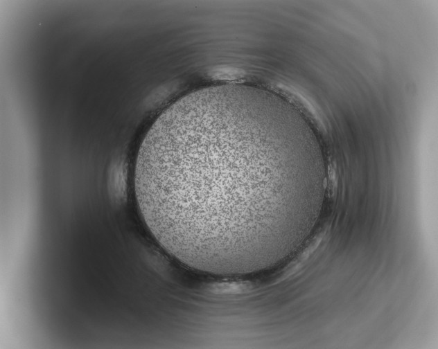 X0000101440404200807211217